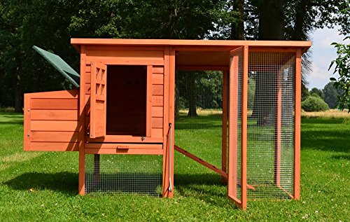 Zooprimus Poulailler En Bois Pour Jardin Extérieure 36 Poulesâ