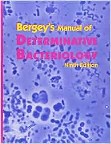 Bergey Bergey