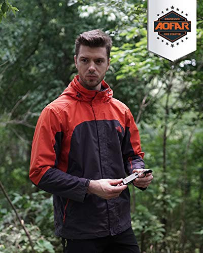 Thumbnail 19