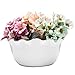 MyGift 10-Inch Wall-Mounted Scalloped Ceramic Succulent Planter Vase, White Wavy Flower Potsthumb 2