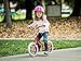 PUBLIC Bikes Kids Mini Balance Bike, Red