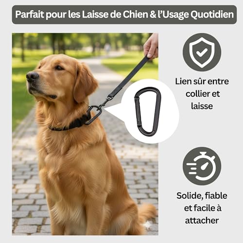 NEXAFIX M8 Stainless Steel Black Carabiner 8 cm (Pack of 2) – 250 kg Hook Carabiner Key Ring for Hammock Swing Dog Camping Hiking