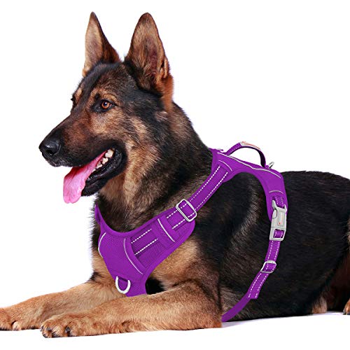 barkbay harness