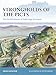 Strongholds of the Picts: The fortifications of Dark Age Scotland (Fortress) by 
