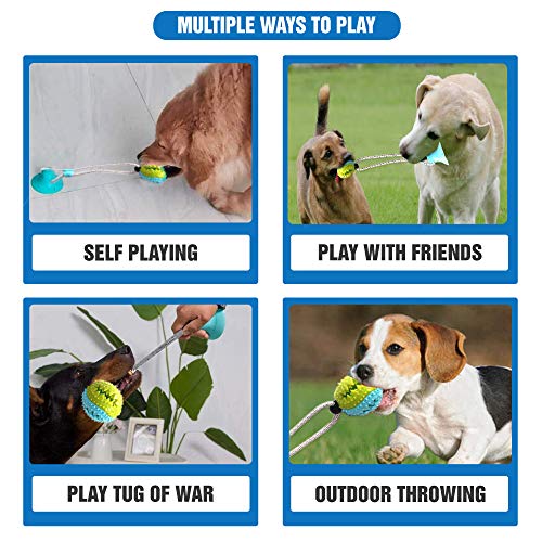 self throwing dog toy