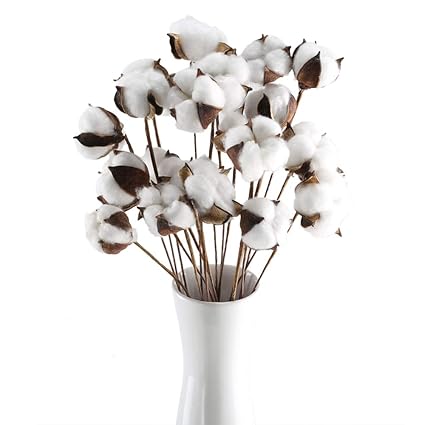 natural dried cotton faux flowers