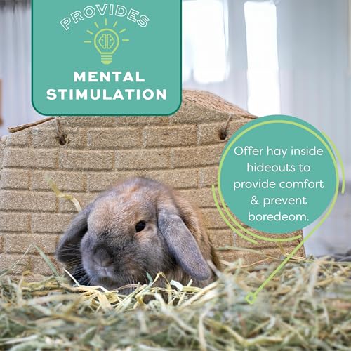 OXBOW ANIMAL HEALTH WESTERN TIMOTHY HAY, BUNNY FOOD, ALL NATURAL HAY FOR RABBITS, GUINEA PIG, CHINCHILLAS, HAMSTERS & GERBILS, RABBIT TREATS, VETERINARIAN RECOMMENDED, 15 OZ.