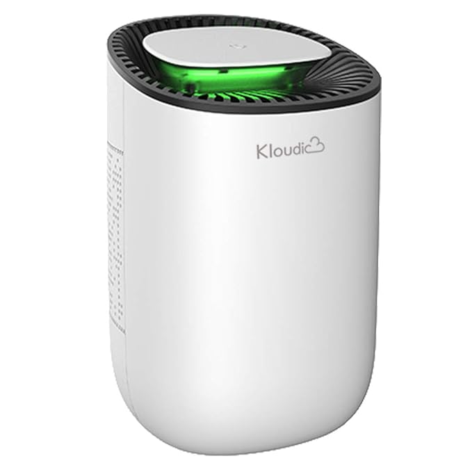 Luftentfeuchter, Elektrischer Entfeuchter 600ml Tragbarer Raumentfeuchter Leise Luftreiniger für Schrank, Badezimmer, Keller,