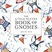 The Little Winter Book of Gnomes by Kirsten Sevig