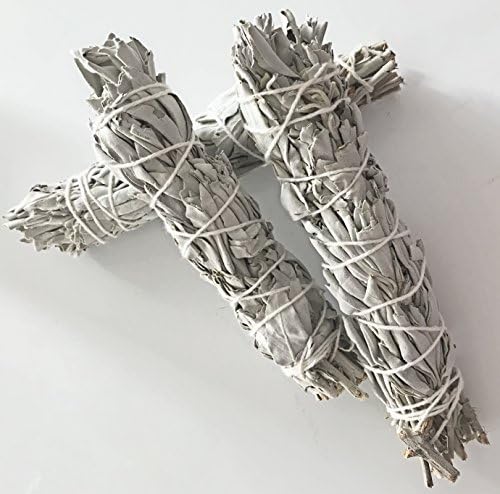 3 CALIFORNIA WHITE SAGE, 5 to 6 Inch Smudging Sticks,, Aromatic. Perfect for Home Blessing, an American Indian Tradition.