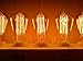 Aplstar New Edison Vintage Bulbs - 6 Pack Bulbs - 60W Incandescent - Clear Glass - ST64 Squirrel Cage - Dimmable