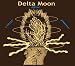Delta Moon Stranger In My Hometown