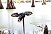 MOJO Outdoors Elite Series Spinning Wing Duck Decoy, Duck Hunting Gear and Accessories, Gadwall,One Size,HW2473
