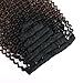 Sassina Remi Brazilian Human Hair Extensions Kinky Curly Clip In Double Wefts Thick Hair For Full Head Black Women 1B Off Black Fading into Light Chocolate Brown 120 Grams KC 1BT4# 14 Inch