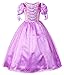 JerrisApparel New Princess Rapunzel Party Dress Costume (4T, Purple)
