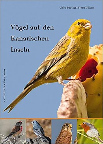 Vögel Auf Den Kanarischen Inseln Amazonde Ulrike Strecker - 