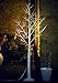 Fashionlite 6FT 96 LED Light Winter Birch Xmas Decorative Tree Home/Party/Festival/Christmas/Indoor Use