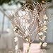 BIHRTC 19.7ft Clear Crystal Glass Octagon Beads Strands Hanging Ornament for Wedding Table Centerpieces Wishing Tree Garland Christmas Decoration Chandelier Candelabra Decor