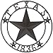 LL Home Texas 1836 Metal Star
