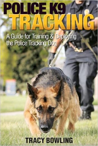 blue tick hound puppies