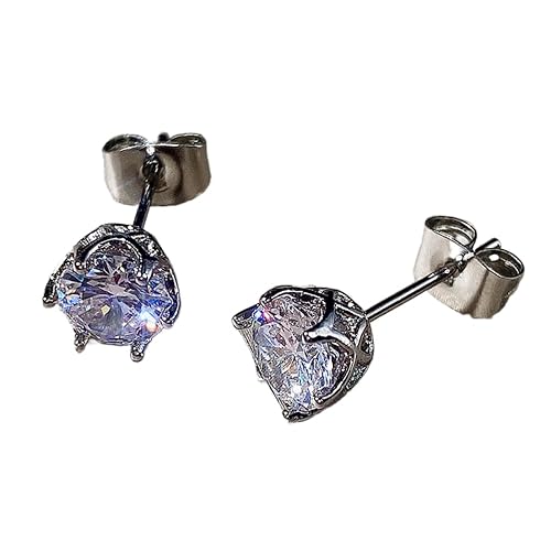 Silver Earrings for Women, 2025 Earrings for Womens Birthday Gifts for Women Fashion Exquisite Personality Pierced Ears Sparkly Earring