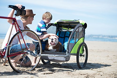 copilot double bike trailer