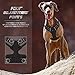 BARKBAY No Pull Dog Harness Front Clip Heavy Duty Reflective Easy Control Handle for Large Dog Walking(Black,M)