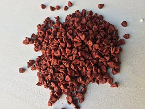 Annatto Seed, Bixa orellana (Whole) 1 Oz Free Shipping ~ Sacred Herbs and Spices from Schmerbals Herbals