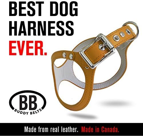 Buddy Belts Classic Collection Pet Harness, Caramel, Size 1 by Buddy Belts