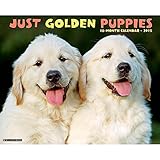 Golden Puppies 2015 Wall Calendar