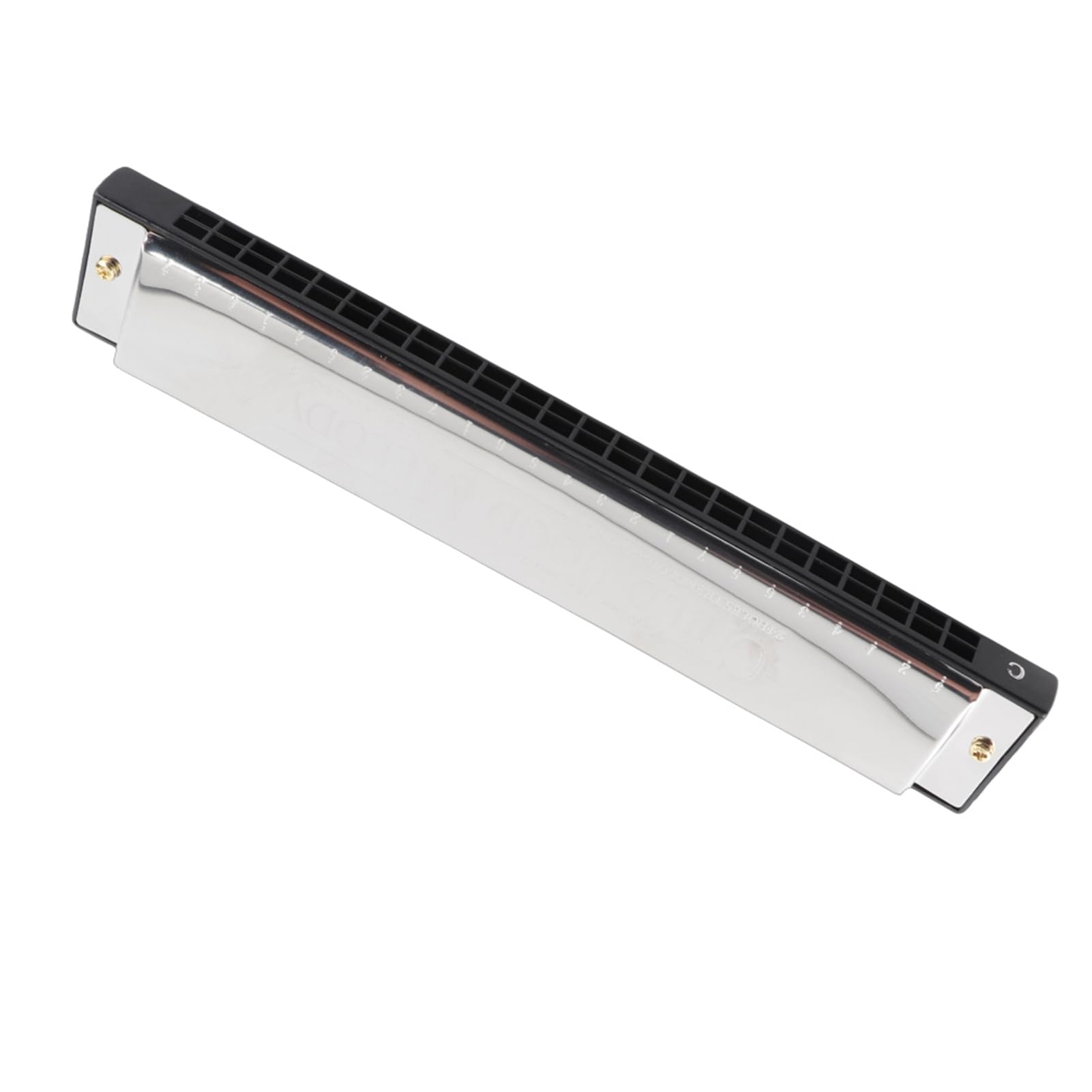 RiToEasysports Professional Mouthorgan Harmonica, Mouth Organ C Key 24‑Hole Diatonic Harp Stainless Steel Cover Not Easy To Oxidize And Rust(black) Wind Instrument Musical Instrument