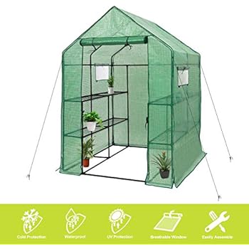 Deluxe Green House 56