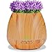 Miserwe Diffuser Aromatherapy Essential Oil Diffuser Planter for Home Office Bedroom Nursery - 550ML Planting Platform 4 Timer Settings 7 Color LED Lights Cool Mist Auto Shut-Off