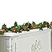 Collections Etc Holly Berry String Lights Garland with Timer 170