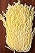 Authentic Japanese Gluten Free Fresh Ramen (8-pack)