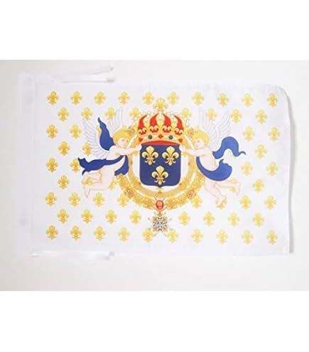 Gartenflagge Fleur De Lis – Rosa & Schwarz – 30,5 X 45,7 Cm – Aus Polyester – Für Draußen