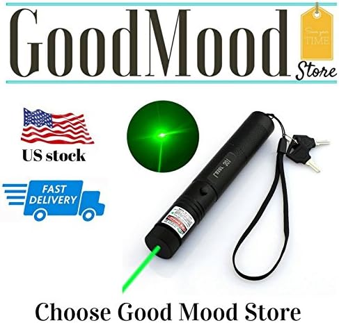 GD-303 Type Laser Torch Style Focusable High Power 532nm Green Beam Laser Pointer Lazer Projector Pen with 18650 Batteries &amp; Charger