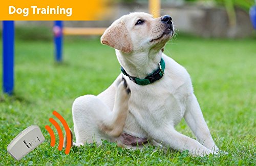 image for Hoont8482; Electronic Handheld Dog Repellent and Trainer with Flashlig