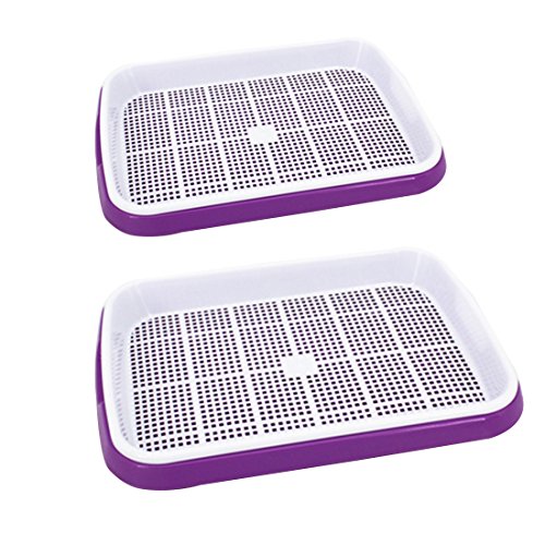 Yamix 2 Pack Two-Tiered Seed Sprouter Tray Kitchen Crop Sprouter Germination Tray (Purple + White) - Thumbnail 7