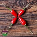 Heirloom Organic Guam Boonie Hot Pepper 25 Seeds by AchmadAnam