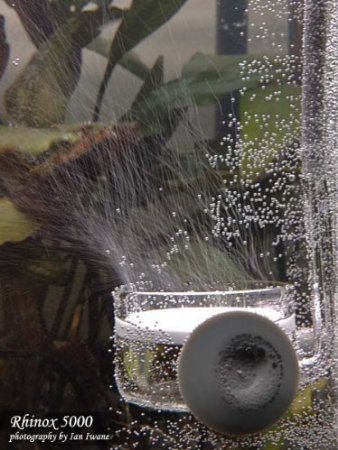 Rhinox 5000 co2 diffuser for healthy aquarium plants - …
