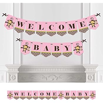 Amazon Com Big Dot Of Happiness Pink Monkey Girl Birthday Party