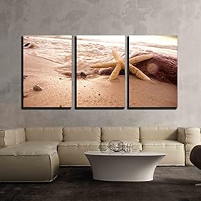 Starfish in Sea Water on The Beach x3 Panels