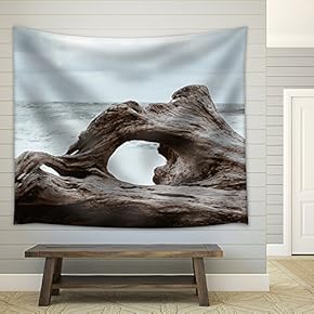 Old Giant Tree Root on The Sea Shore - Fabric Wall Tapestry Home Decor - 51x60 inches