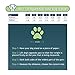 Petacc Dog Boots Water Resistant Dog Shoes for Large Dogs and Black Labrador 4 Pcs Size 7, Black