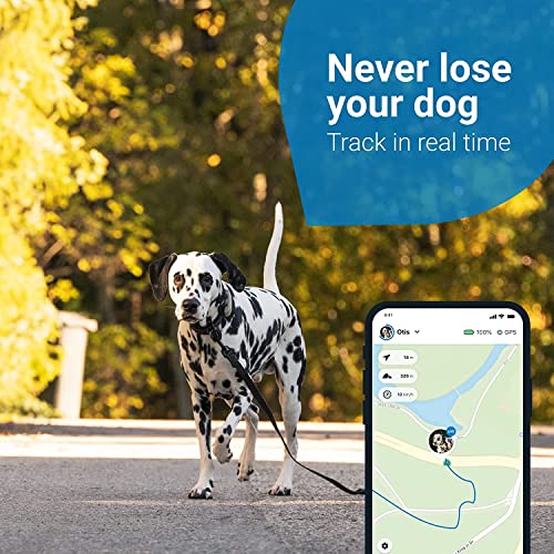 Tractive GPS Tracker for Dogs Waterproof, GPS Location & Smart Pet