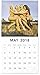 2018 Always Topless Sometimes Naked Wall Calendar - Sexy Adult Calendar with 200 Reminder Stickers for Remembering Deadlines, Appointments, Vacations, Birthdays - 12 x 12 inches