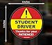 Student Driver Window Clings (1 Pack) - 6
