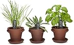 Window Garden Rustic Charm Herb Trio Grow Kit with Planter Pots, Slate Markers, Fiber Soil, Germination Bags, Basil, Chive and Sage Seeds
