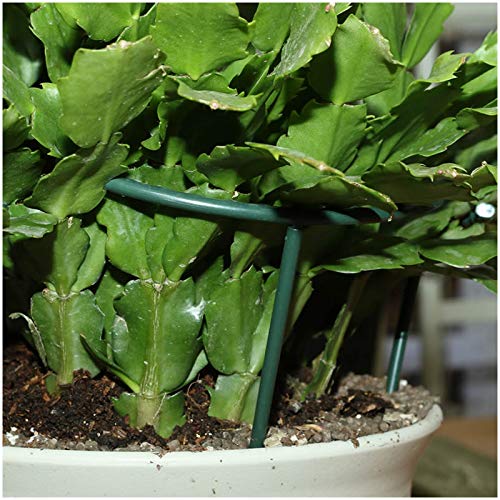 Creation Core 12Pcs Plastic Plant Support Stakes Lodging-Resistant Flower Supports DIY Garden Pot Climbing Trellis